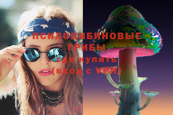 apvp Надым