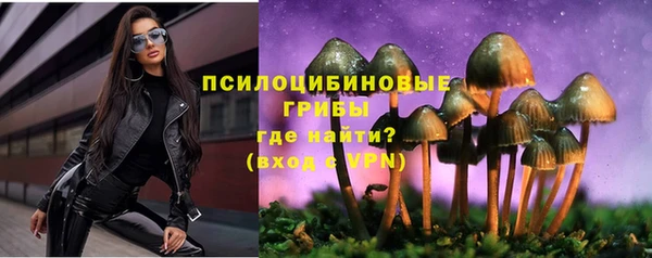 дживик Наволоки